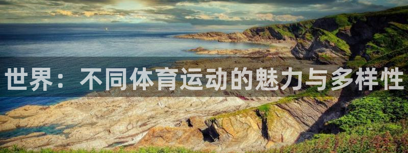 JJB竞技宝官网下载平台是正规平台吗知乎:世界:不同体育运动