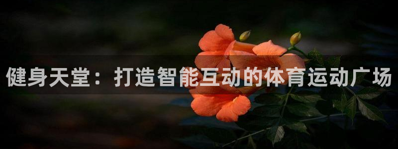 JJB竞技宝官网下载招商电话:健身天堂:打造智能互动的体育运