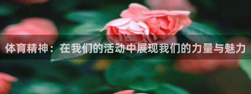 JJB竞技宝官网下载注册:体育精神:在我们的活动中展现我们的