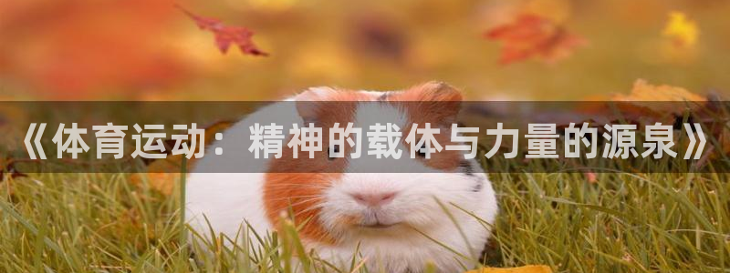 海南JJB竞技宝官网下载发展怎么样:《体育运动:精神的载体与