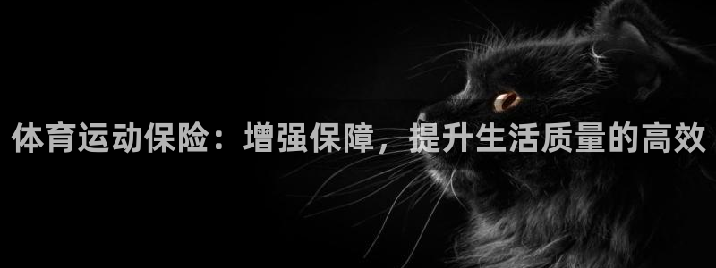 海南JJB竞技宝官网下载发展怎么样:体育运动保险:增强保障,