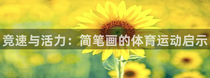 海南JJB竞技宝官网下载:竞速与活力:简笔画的体育运动启示