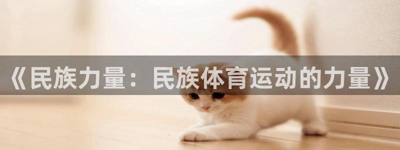 海南JJB竞技宝官网下载发展怎么样:《民族力量:民族体育运动