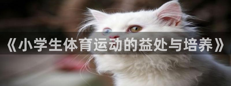 JJB竞技宝官方集团官网:《小学生体育运动的益处与培养》